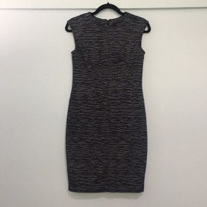 Ann Taylor Navy and White Dress